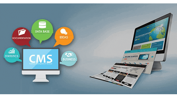 website development in Amroha